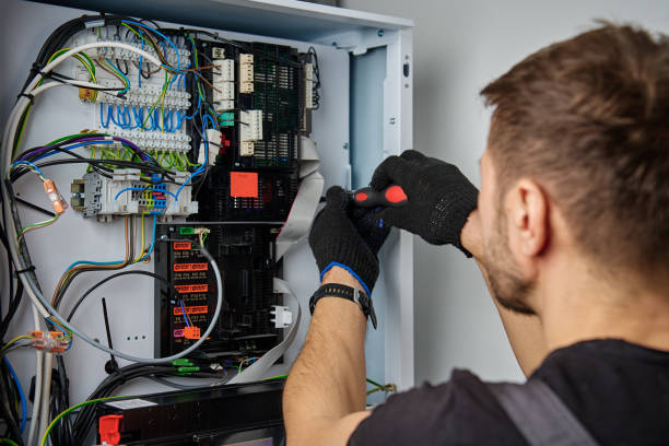 Licensed Electrical Panel Upgrade service in Palmview, TX - No Joke electrician